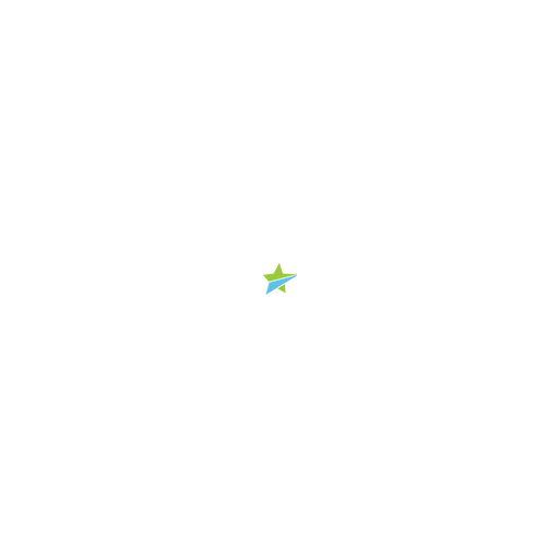 Travel Star PTE. LTD. logo
