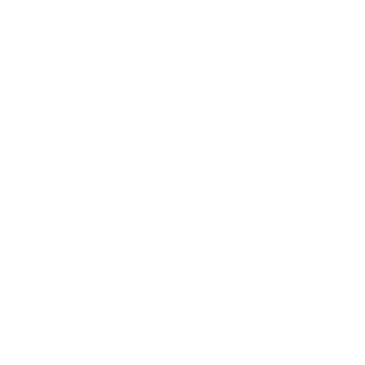 South Asia Huanyu Technology PTE. LTD. logo