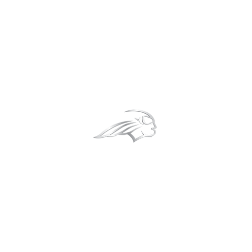 Gill Divers Private Limited logo