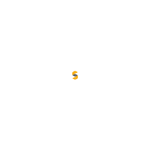 Starry Construction PTE. LTD. logo