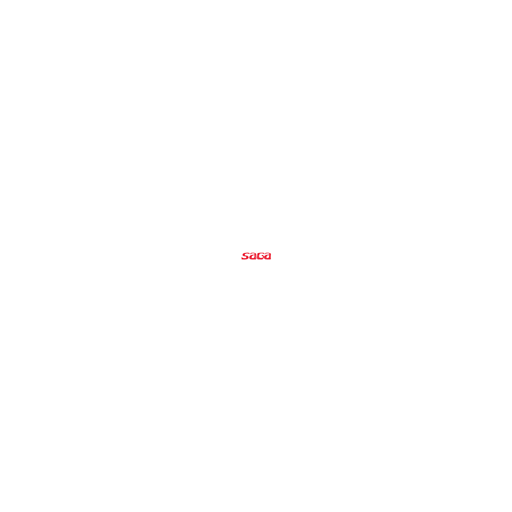 Saga Foodstuffs Manufacturing (Private) Limited logo