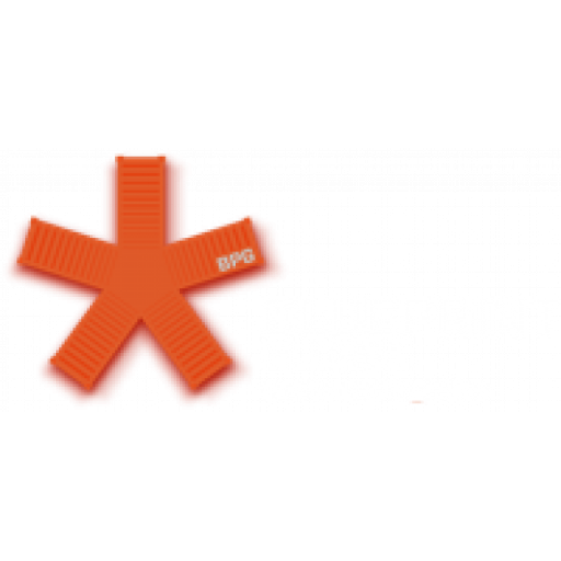 Blueprint Grp PTE. LTD. logo